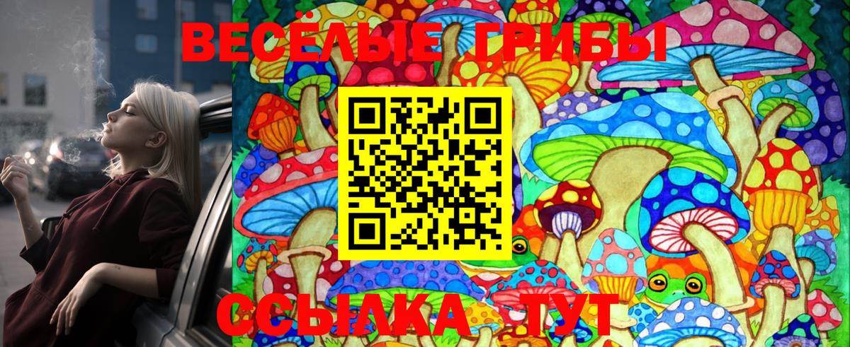 Джанкой  Галлюциногенные грибы Psilocybe  Псилоцибиновые грибы GOLDEN TEACHER  Вход с VPN 